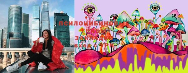 кристаллы Осинники