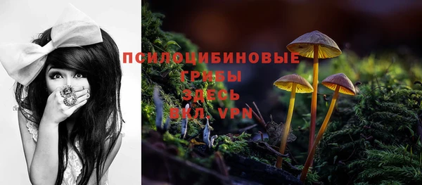 прущие крисы Остров