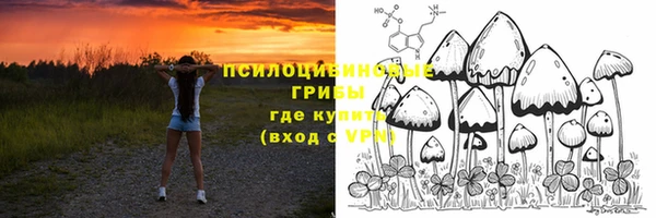 кристаллы Осинники