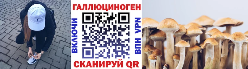 Галлюциногенные грибы Psilocybe  Купить где  Камешково 