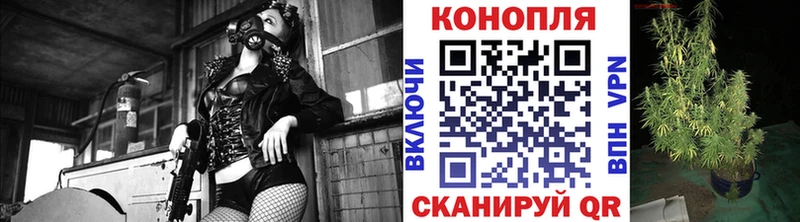 Канабис Bruce Banner Купить где Камешково